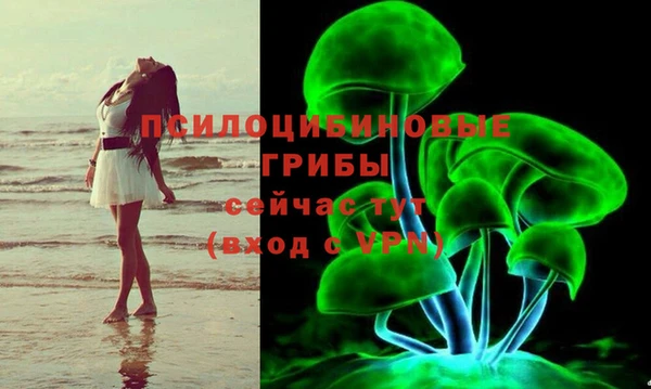 spice Алексин